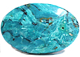Chrysocolle Chrysocolle