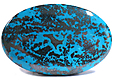 Chrysocolle Chrysocolle