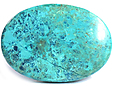 Chrysocolle