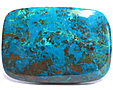 Chrysocolle Chrysocolle
