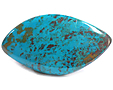 Chrysocolle Chrysocolle