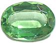 Disthene Vert