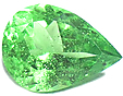 Grenat Menthe