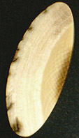 Ivoire de Mammouth