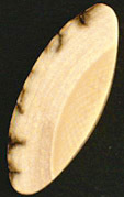 Ivoire de Mammouth