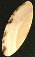 Ivoire de Mammouth