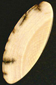 Ivoire de Mammouth