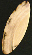 Ivoire de Mammouth