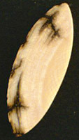 Ivoire de Mammouth