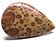 Jaspe Grain de Caf�