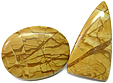 Jaspe Bicolore