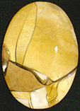 Jaspe Br�chiforme