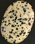 Jaspe Dalmatien