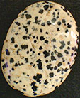 Jaspe Dalmatien