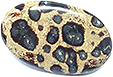 Jaspe Leopard