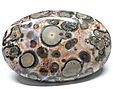 Jaspe Leopard