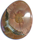 Jaspe Opalis�