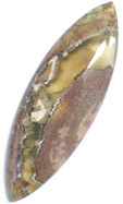 Jaspe Opalis�