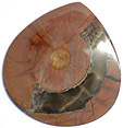 Jaspe Opalis�