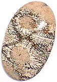 Jaspe Tournesol
