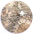 Jaspe Tournesol