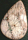 Jaspe Tournesol