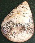 Jaspe Tournesol