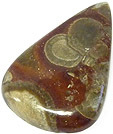 Jaspe Champignon