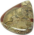 Jaspe Champignon