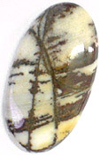 Jaspe Coco