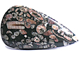 Jaspe � Crino�des