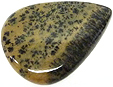 Jaspe Dendritique