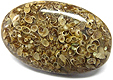 Jaspe � Fossiles
