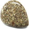 Jaspe � Fossiles