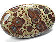 Jaspe Ast�ro�de