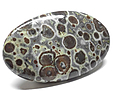 Jaspe Ast�ro�de