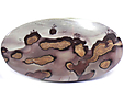 Jaspe Polychrome Jaspe Polychrome