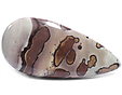Jaspe Polychrome Jaspe Polychrome
