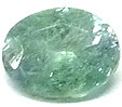 Kornerupine Menthe