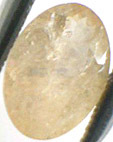 Magnesioaxinite