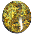 Nellite Nellite