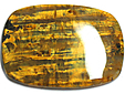 Nellite