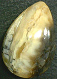 Opale Brune