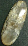 Opale Brune