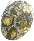 M�t�orite Pallasite