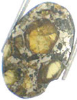M�t�orite Pallasite