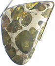 M�t�orite Pallasite