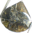 M�t�orite Pallasite