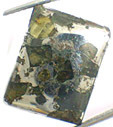 M�t�orite Pallasite