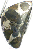M�t�orite Pallasite